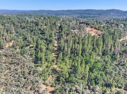 24316 Timber Ridge Dr, Auburn, CA 95602 Photo
