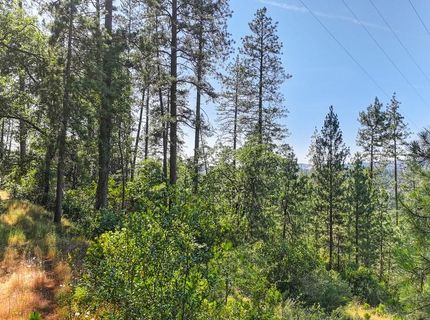 24316 Timber Ridge Dr, Auburn, CA 95602 Photo