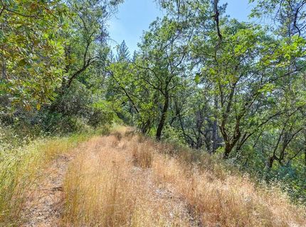 24316 Timber Ridge Dr, Auburn, CA 95602 Photo
