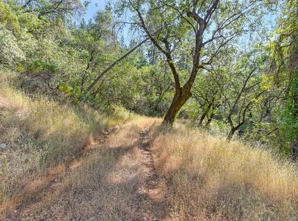 24316 Timber Ridge Dr, Auburn, CA 95602 Photo