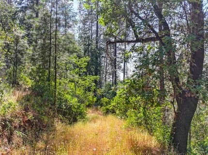 24316 Timber Ridge Dr, Auburn, CA 95602 Photo