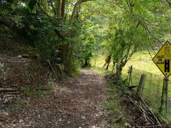 0 407 CUERDAS EN CAMUY. ¡HAZ REALIDAD TU PROY, Camuy, PR 00627