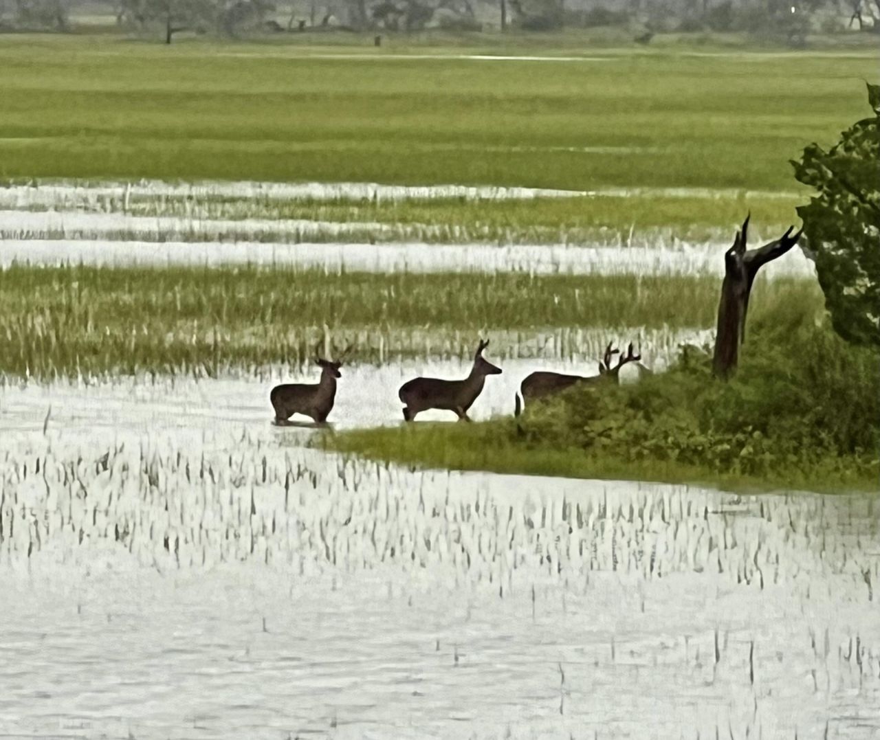 14 Waterway Island Drive Photo 22