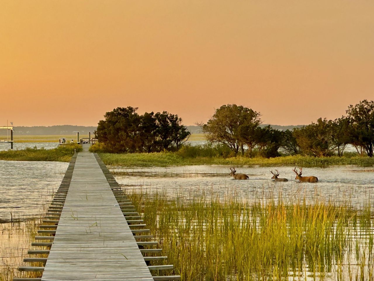 14 Waterway Island Drive Photo 7