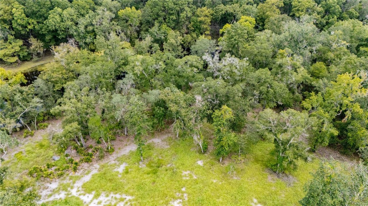 26840 NW 206th Place, High Springs, FL 32643 Photo