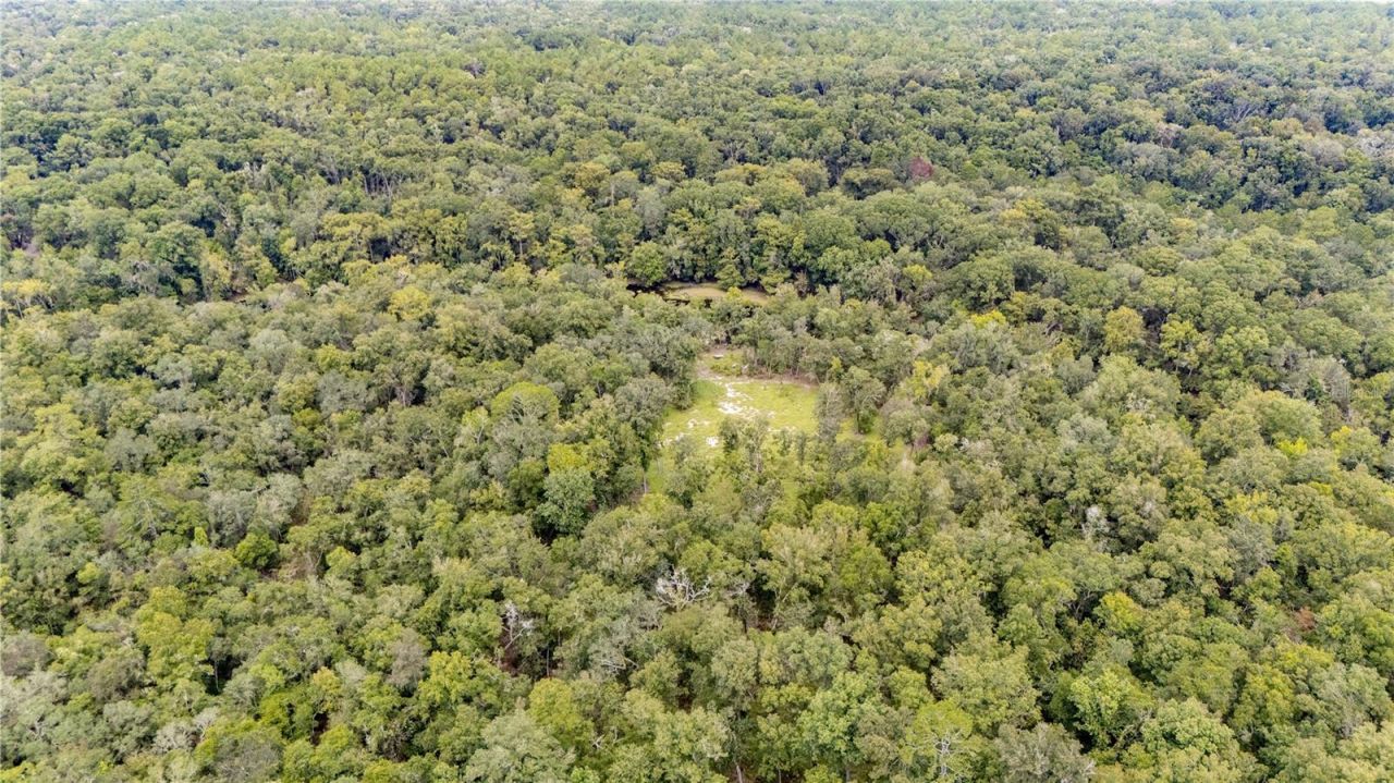 26840 NW 206th Place, High Springs, FL 32643 Photo