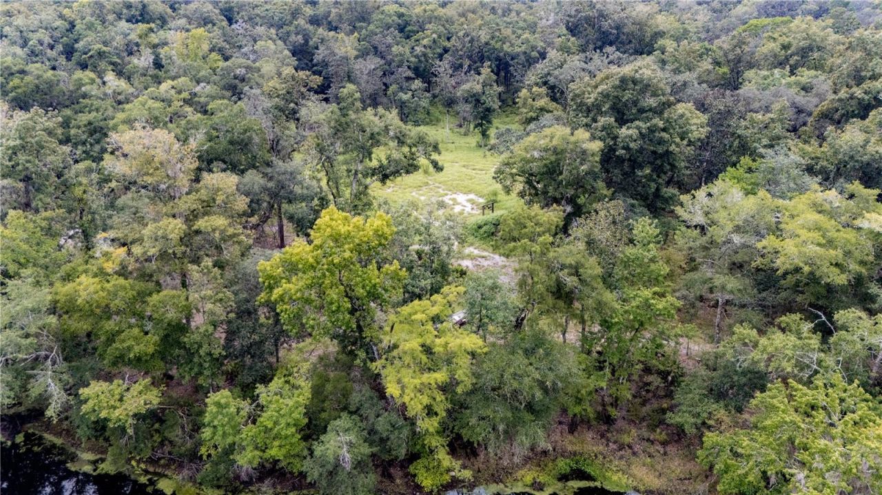 26840 NW 206th Place, High Springs, FL 32643 Photo