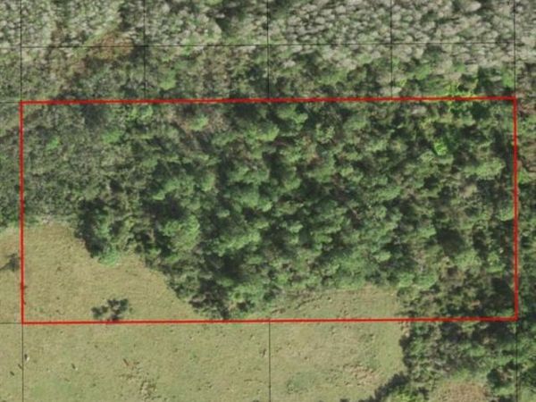 0 HOLOPAW GROVES RD, St. Cloud, FL 34772