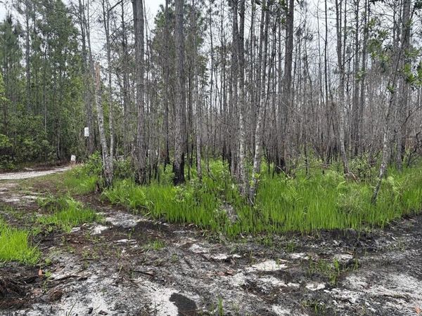 0 HOLOPAW GROVES RD, St. Cloud, FL 34772