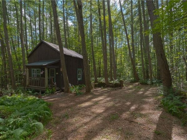 3071 Seelman Truck Trail Road, Constableville, NY 13325