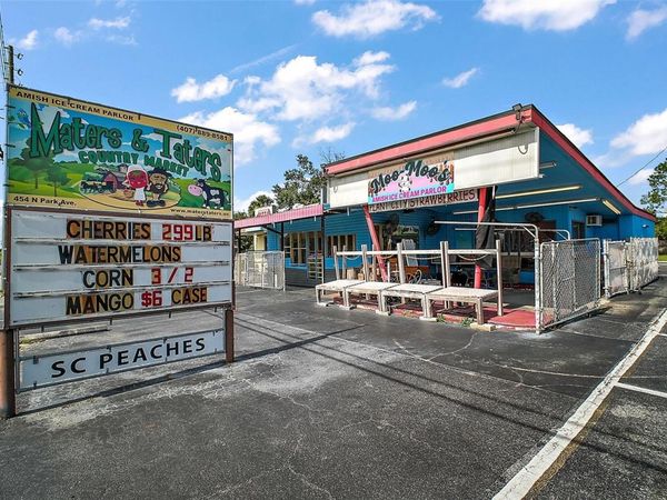 454 N PARK AVENUE, APOPKA, FL 32712