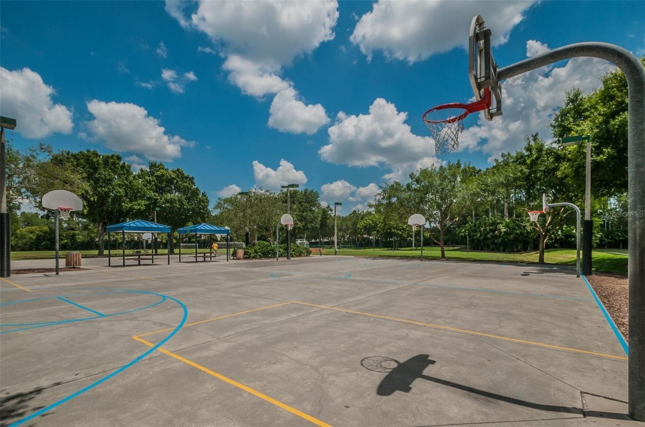 4125 Kirkaldy Drive, Palm Harbor, FL 34685 Photo