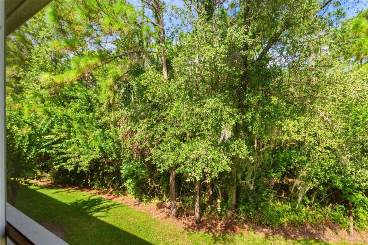 5999 Lake Pointe Drive, Unit 608, Orlando, FL 32822 Photo