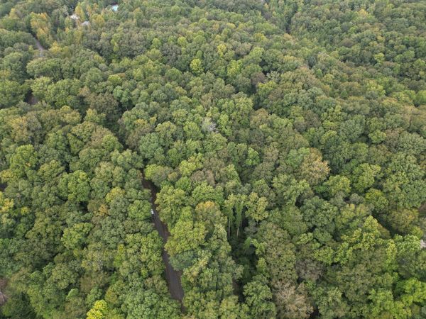 0 February Place, Smithville, TN 37166