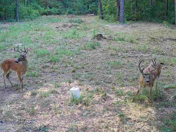 000 County Road 625, Birch Tree, MO 65438