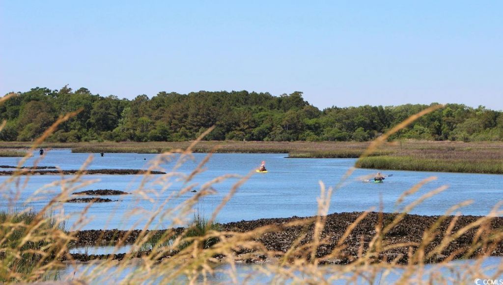 283 Ridley St Photo 33