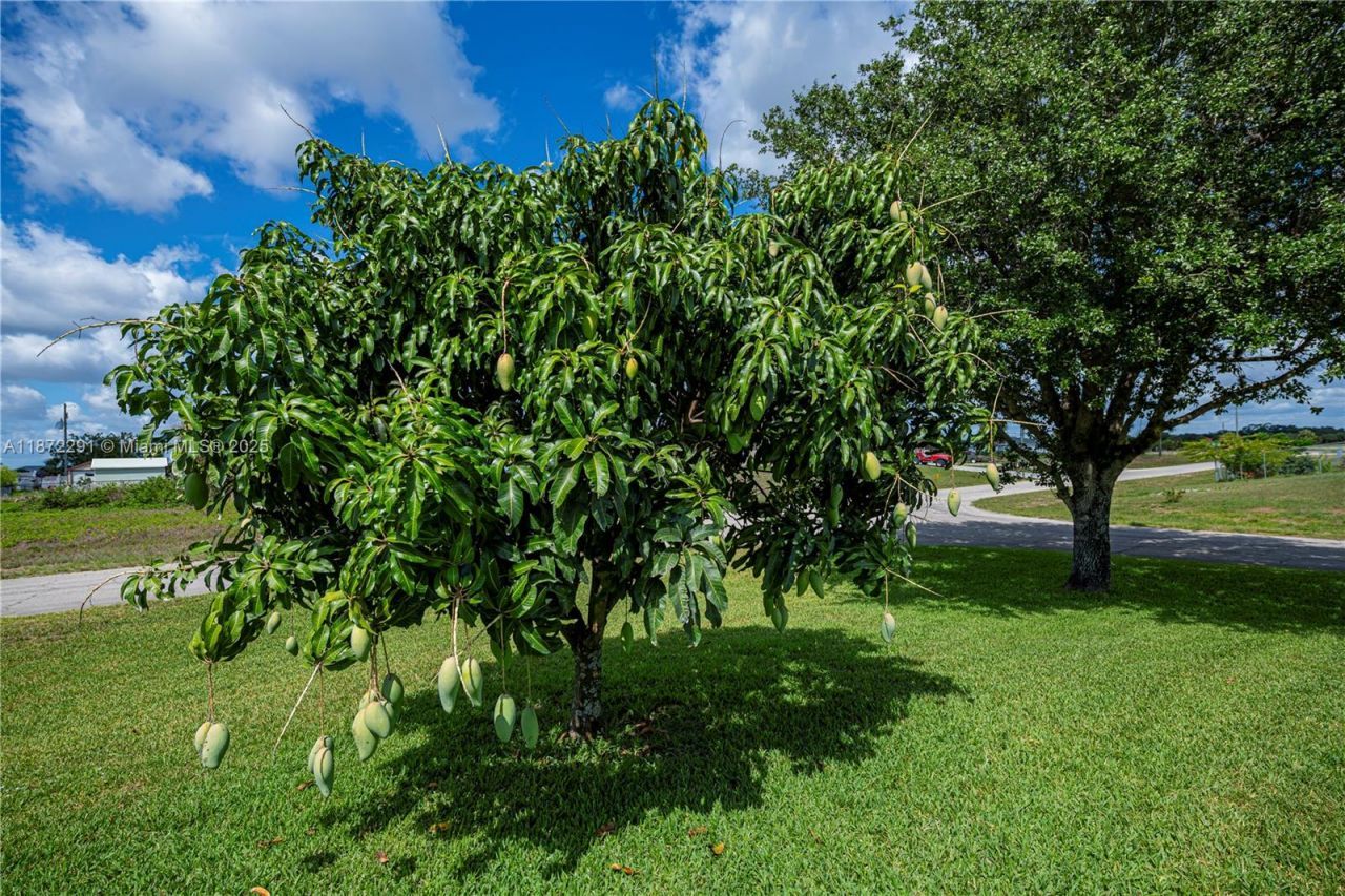 1115 Comet Ave, La Belle, FL 33935 Photo