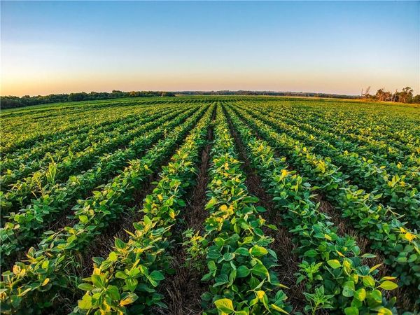 212th Road, Other, KS 67156