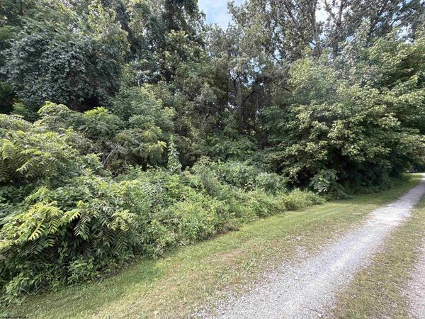 TBD Gall Avenue, Belington, WV 26250
