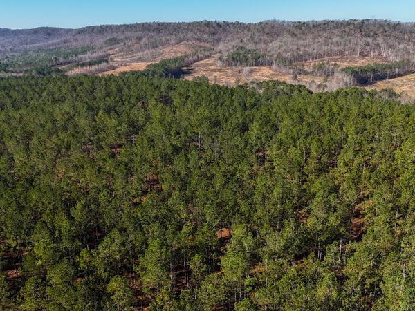 32 ACRES ON BAC Tract 14, Lyerly, GA 30730