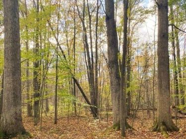 9473 E Broomfield Road, Chippewa Twp, MI 48858