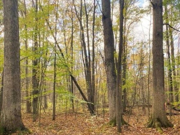 9473 E Broomfield Road, Chippewa Twp, MI 48858