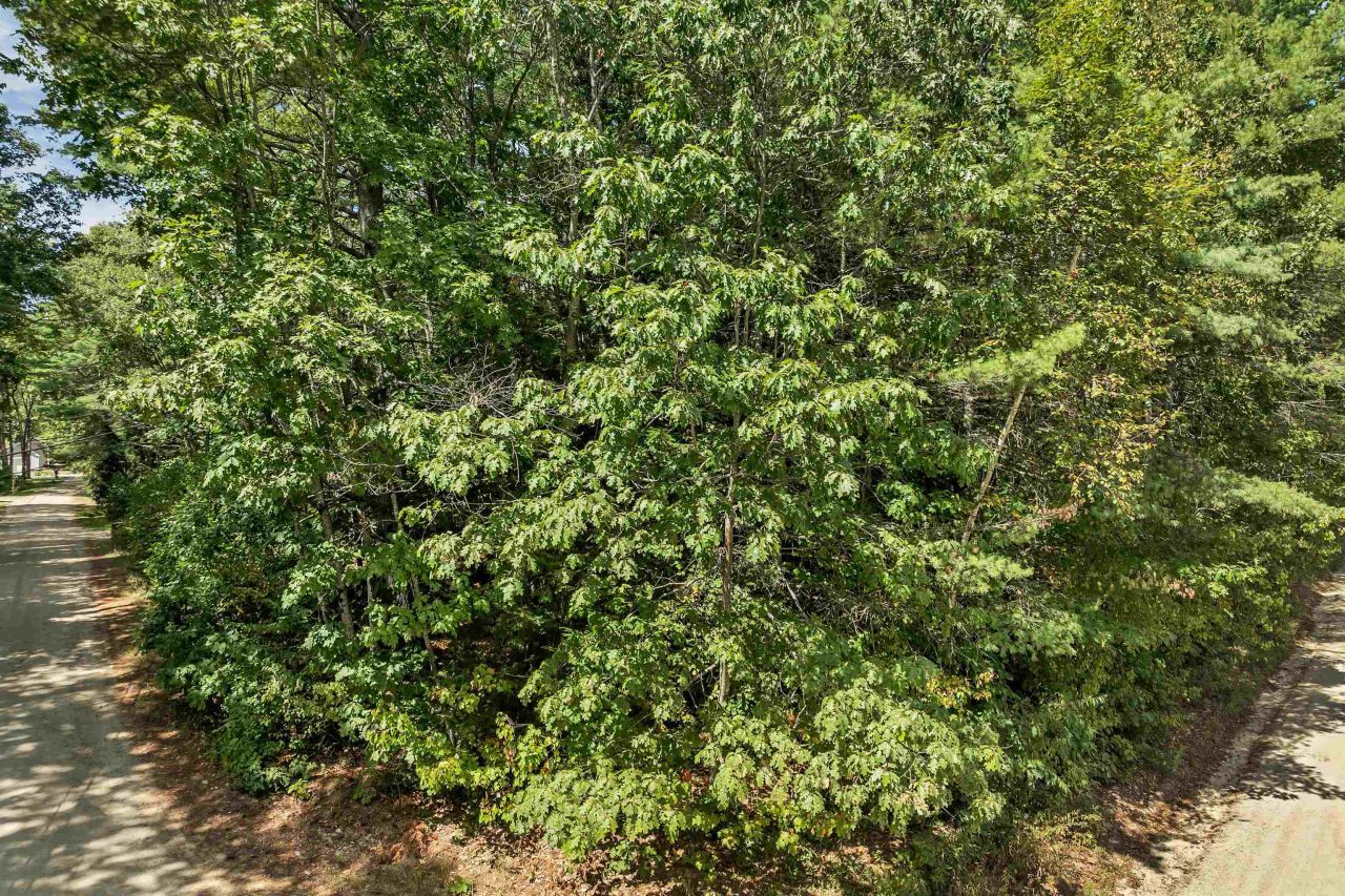 Andover Drive, Barnstead, NH 03225 Main Photo