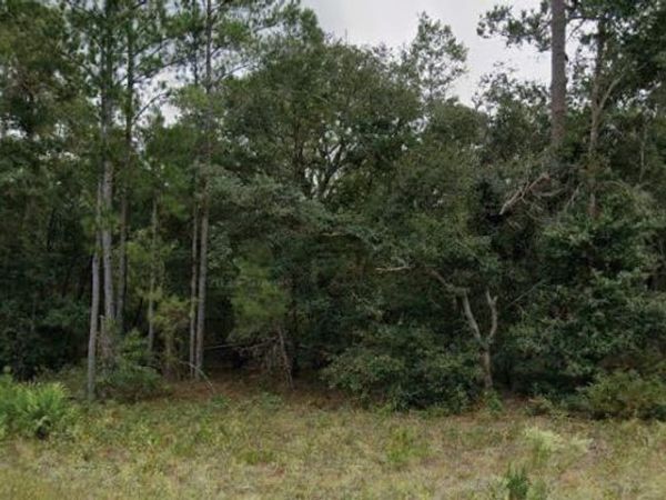 110 W HILLSBOROUGH AVENUE, FLORAHOME, FL 32140