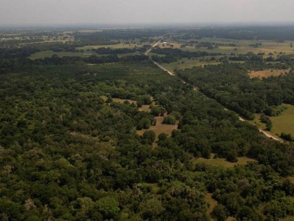 0000 FM 141, Dime Box, TX 77853