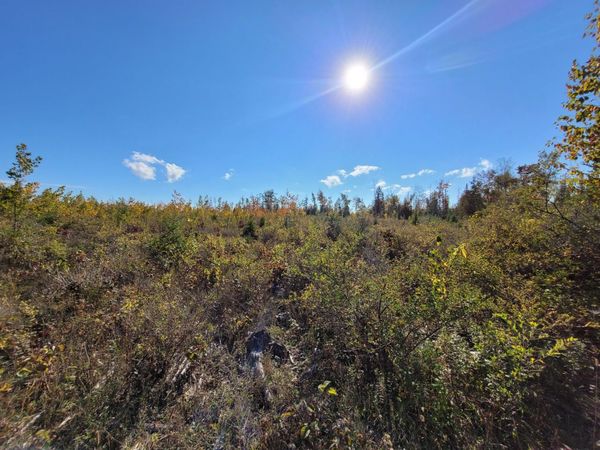 W M-68 Highway, Rogers City, MI 49779