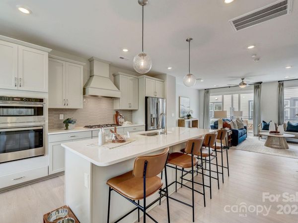 516 Annie Lowery Way, Davidson, NC 28036