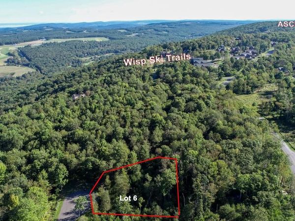 6 FOX RUN DRIVE, MC HENRY, MD 21541