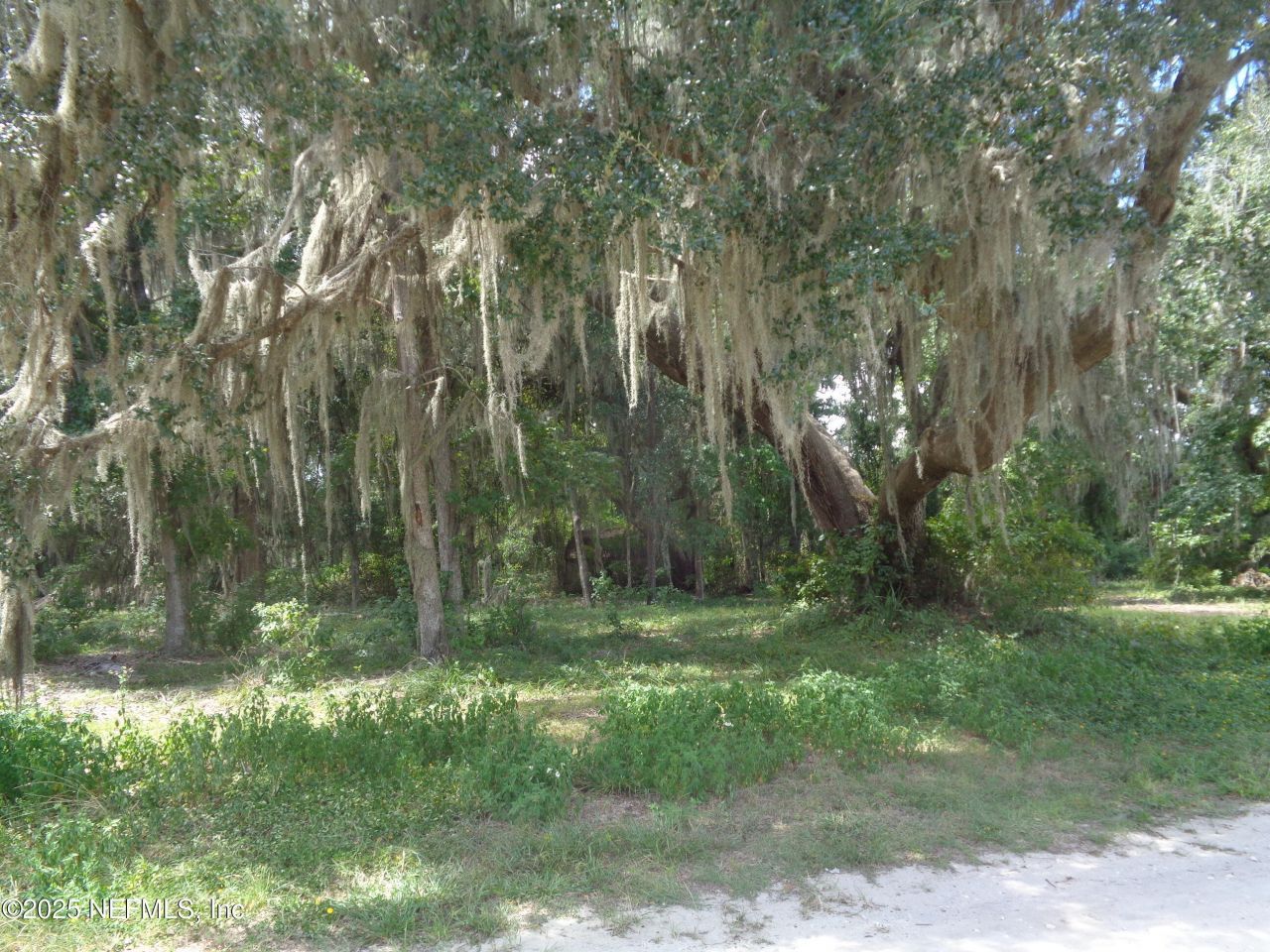 0 Lake Shore Lot 417 Terrace, Interlachen, FL 32148 Photo