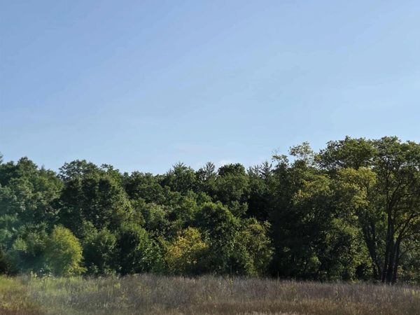 Runyan Lane, Hale, MI 48739