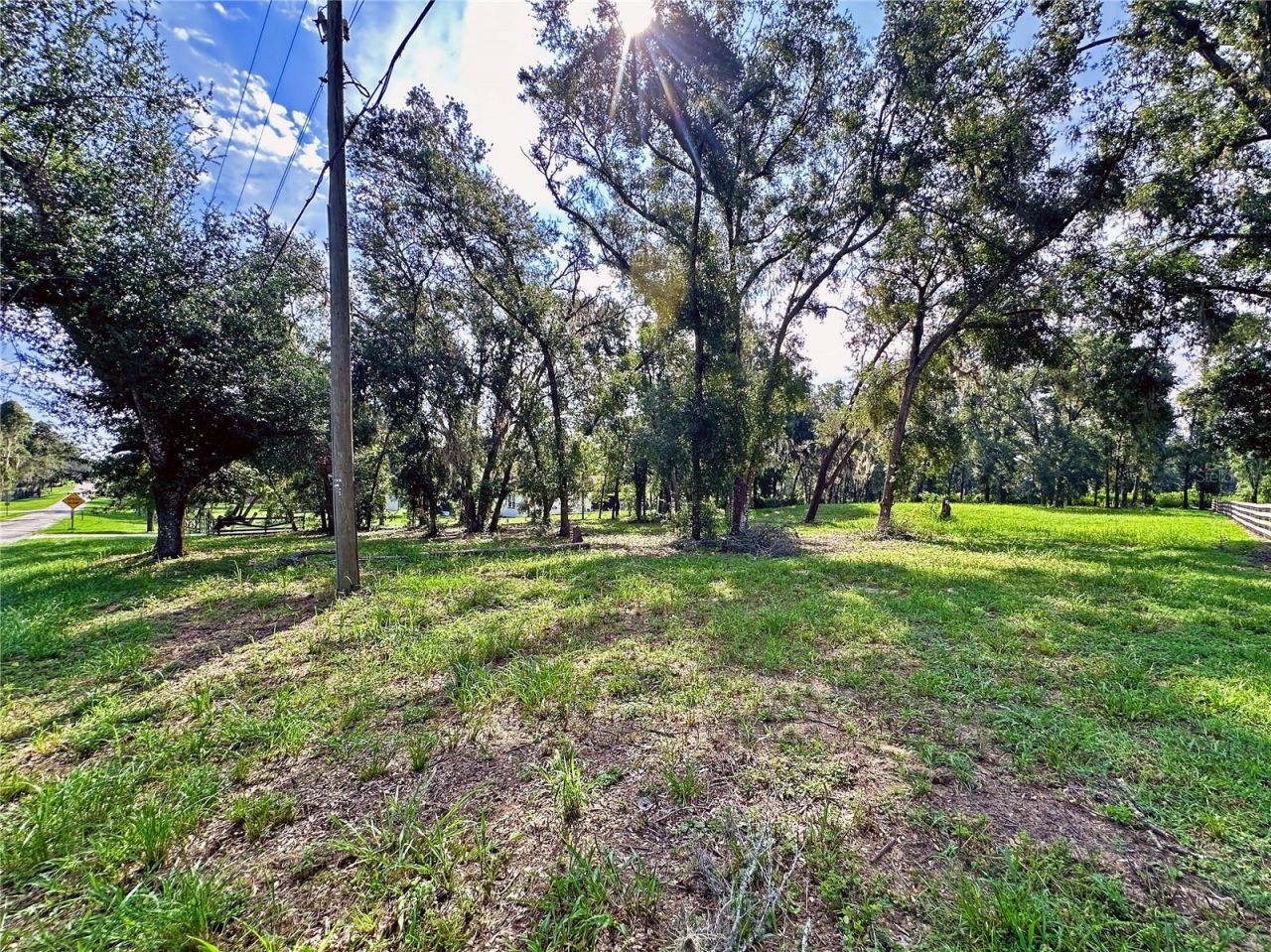 35174 Roth Lane, Dade City, FL 33525 Photo