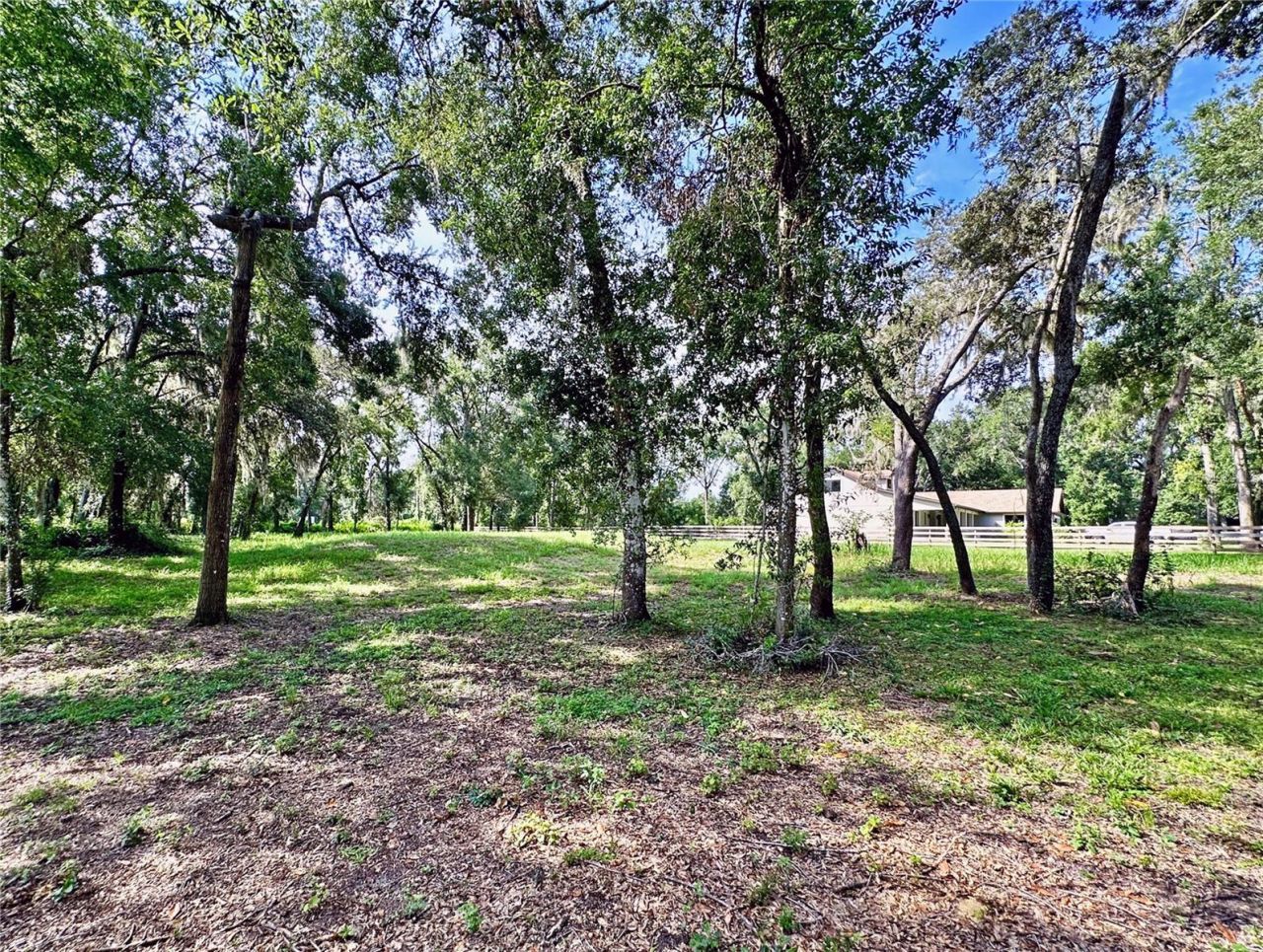 35174 Roth Lane, Dade City, FL 33525 Photo