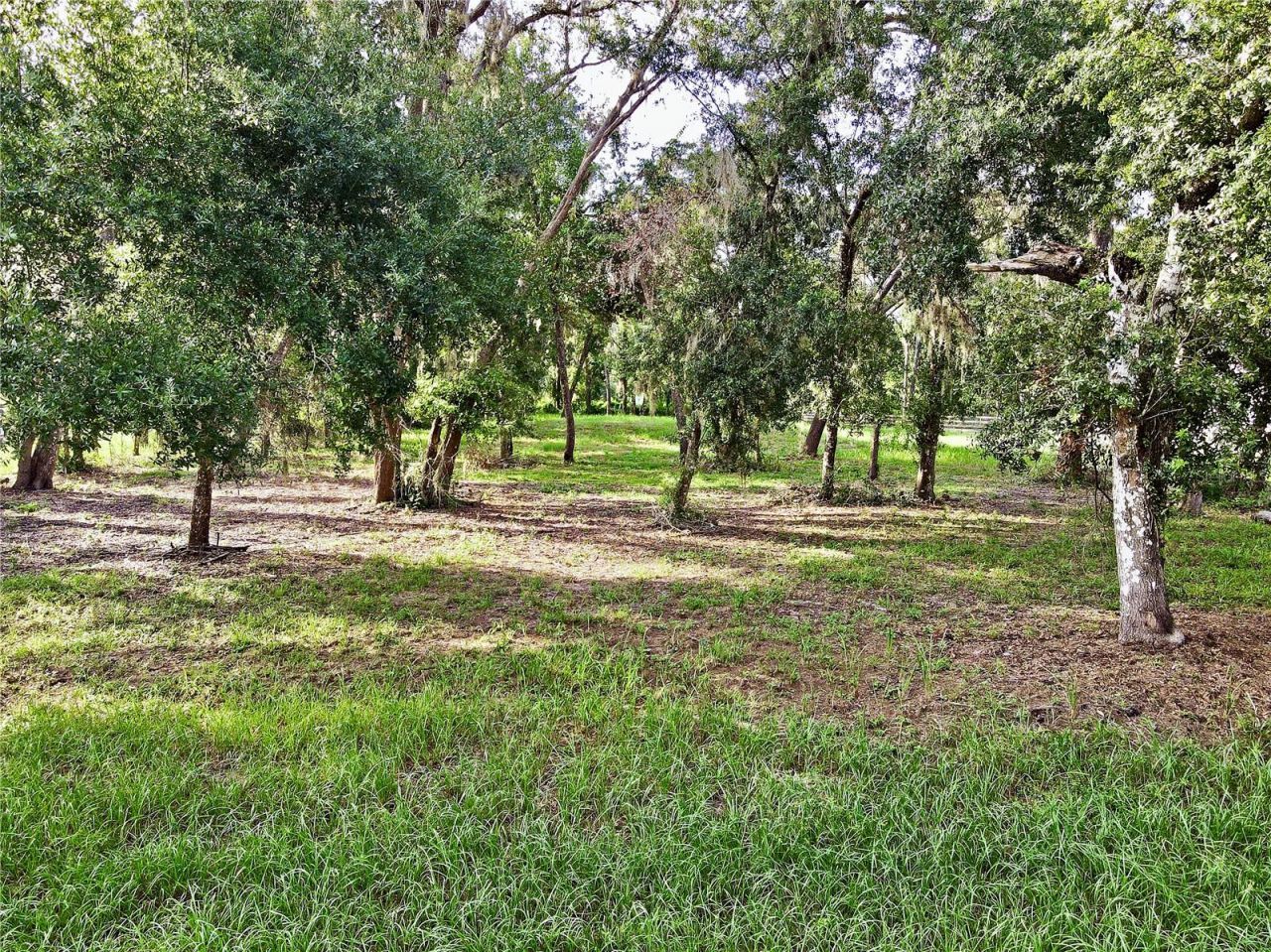 35174 Roth Lane, Dade City, FL 33525 Photo