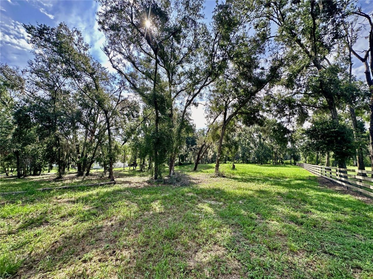 35174 Roth Lane, Dade City, FL 33525 Photo