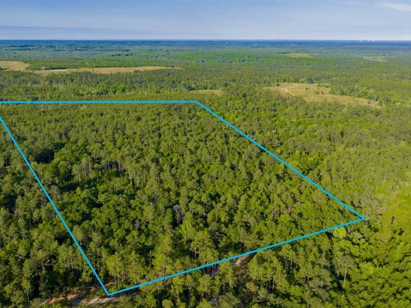 0 George Thomley Road, Perdido, AL 36562