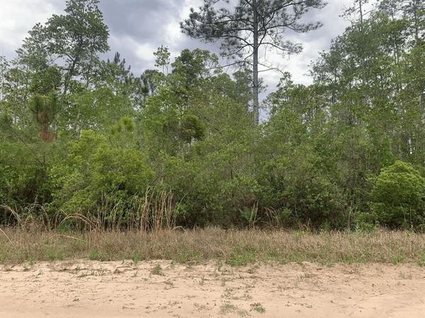 0 W Basford Street, Interlachen, FL 32148