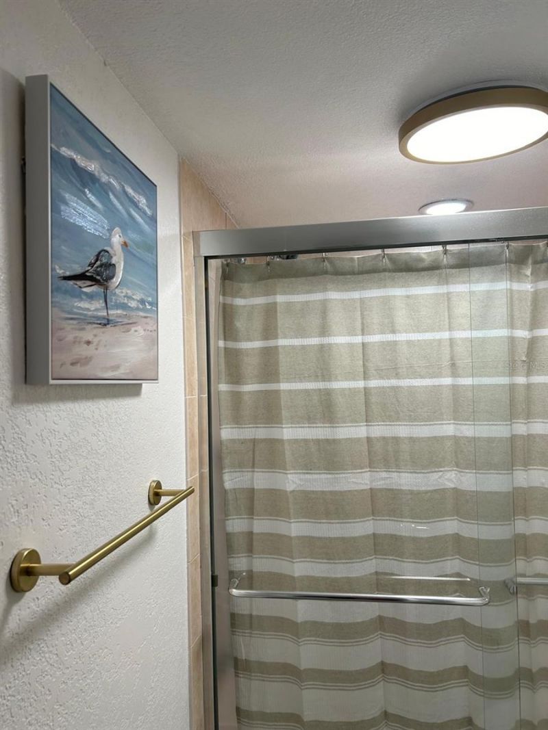 1008 Apollo Beach Boulevard, Unit 210, Apollo Beach, FL 33572 Photo