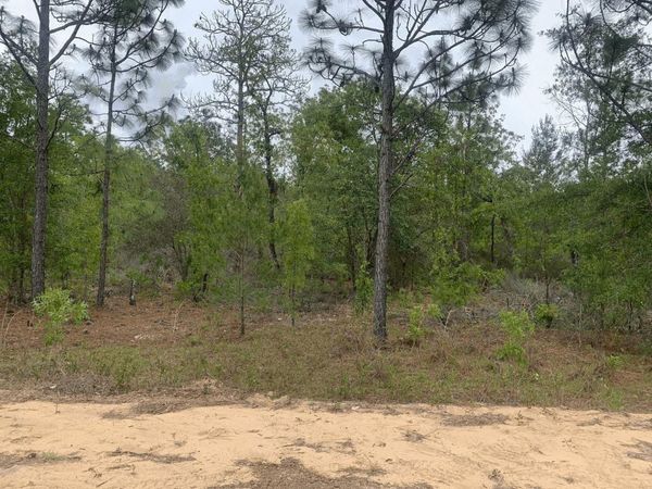 0 May Lane, Interlachen, FL 32148
