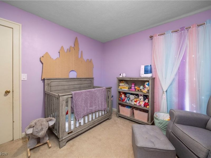 19 South Street, Berlin Heights, OH 44814 Photo 16