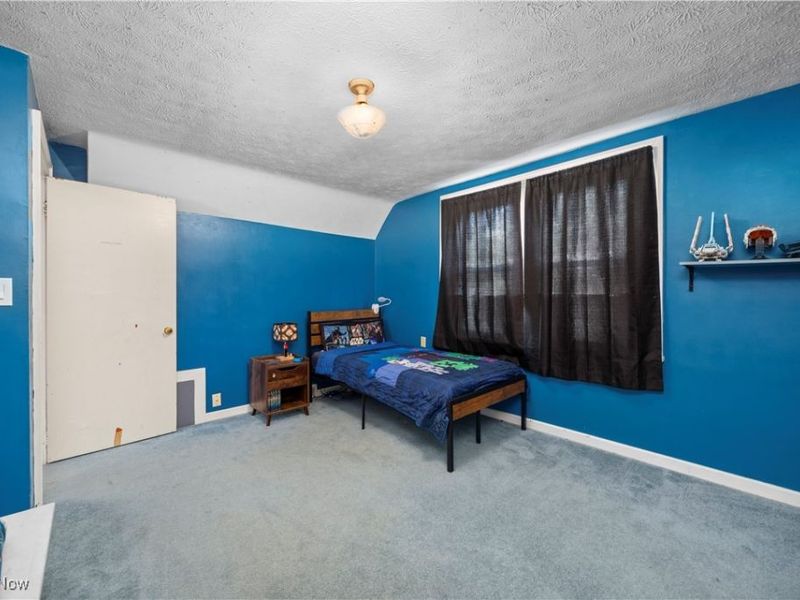 19 South Street, Berlin Heights, OH 44814 Photo 18