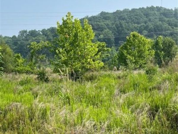 0 Association Drive, Charleston, WV 25311