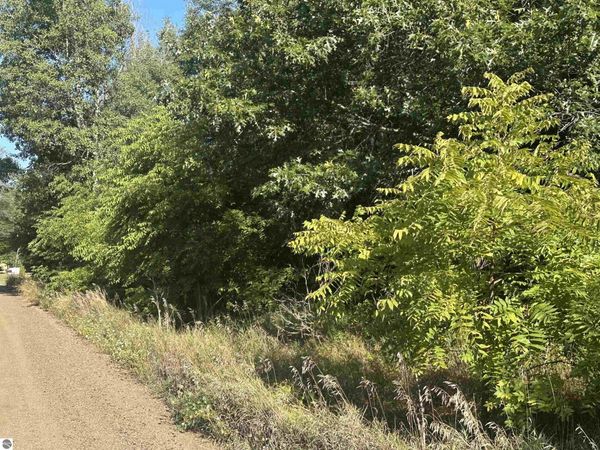 26 Willow Street, Lake, MI 48632