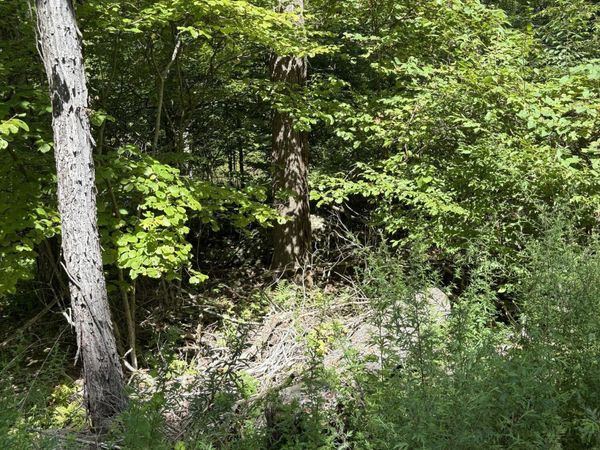 Tbd Oak Ridge Road, Ellenville, NY 12428