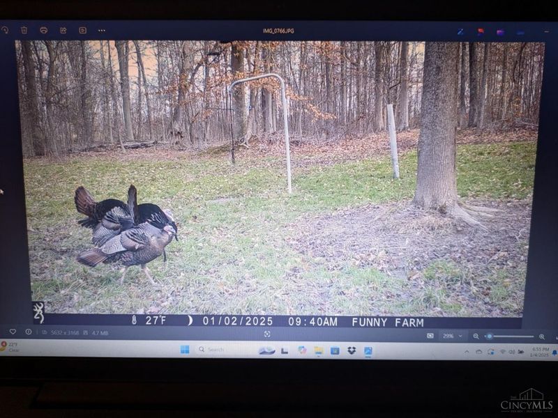 1962 Tennyson Road, Piketon, OH 45661 Photo 14