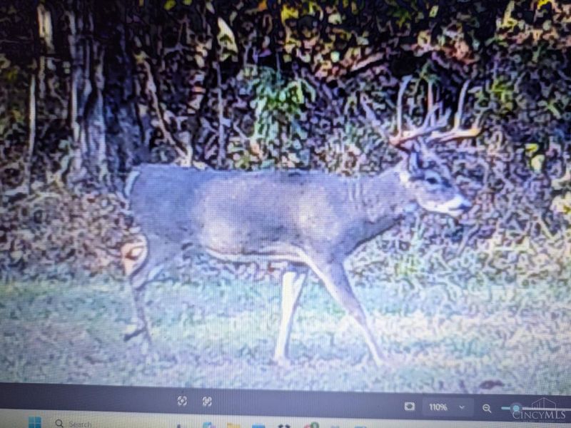 1962 Tennyson Road, Piketon, OH 45661 Photo 15