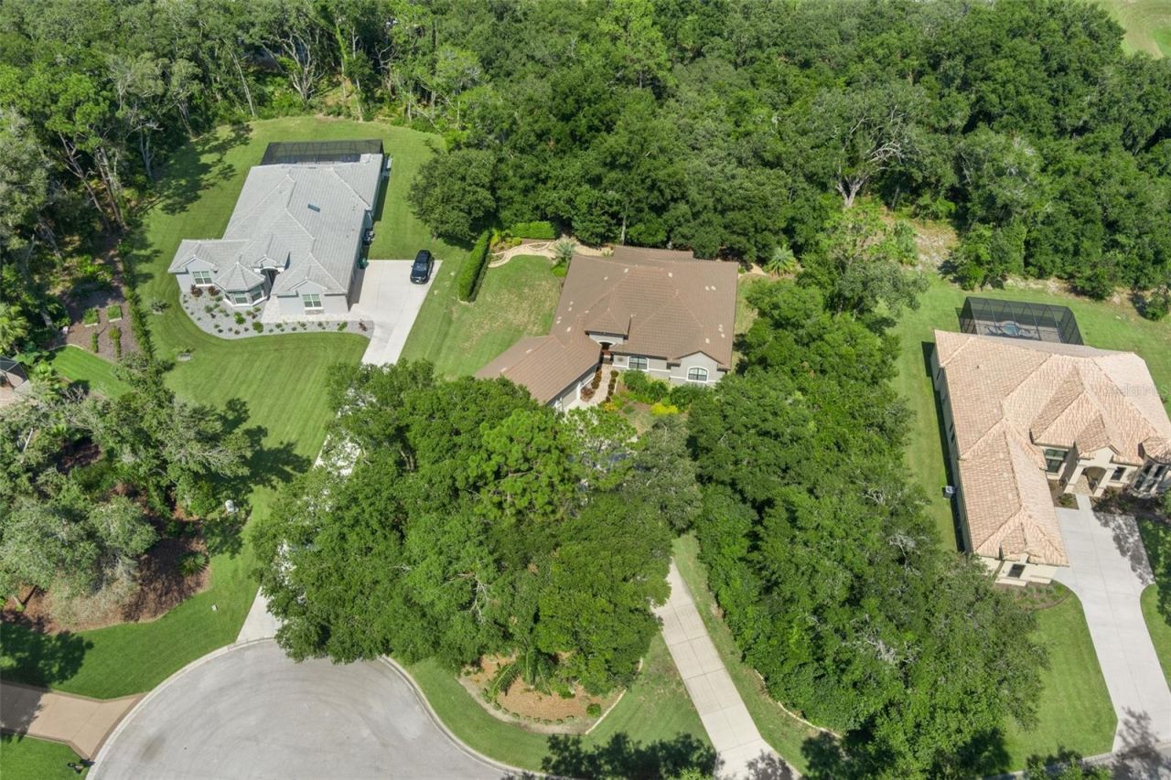 2321 N Hickory Glen Point, Hernando, FL 34442 Photo